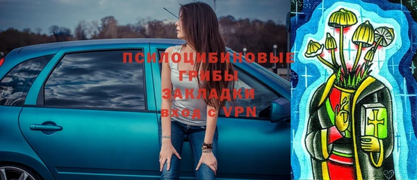 2c-b Алзамай