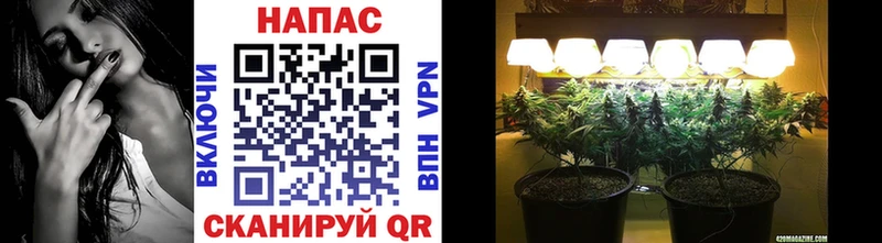 Каннабис OG Kush  Снежногорск 